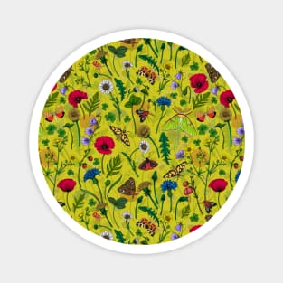 Wild flowers and moths Magnet